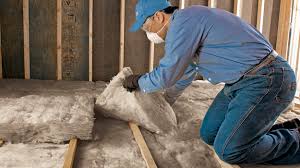 Best Attic Insulation Installation  in Deerwood, TX