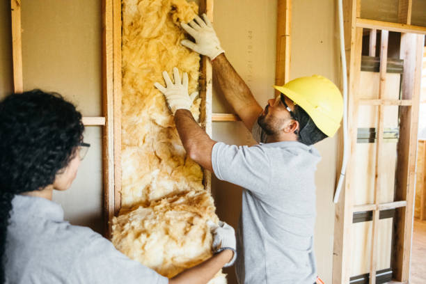 Best Wall Insulation Installation  in Deerwood, TX