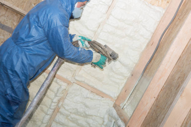 Best Thermal Imaging for Insulation Gaps  in Deerwood, TX