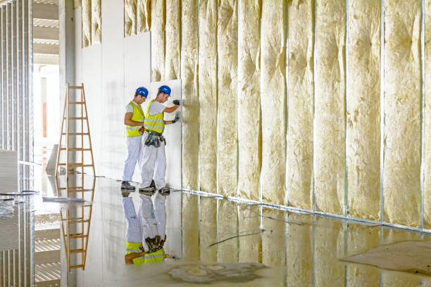 Best Eco-Friendly or Green Insulation Solutions  in Deerwood, TX